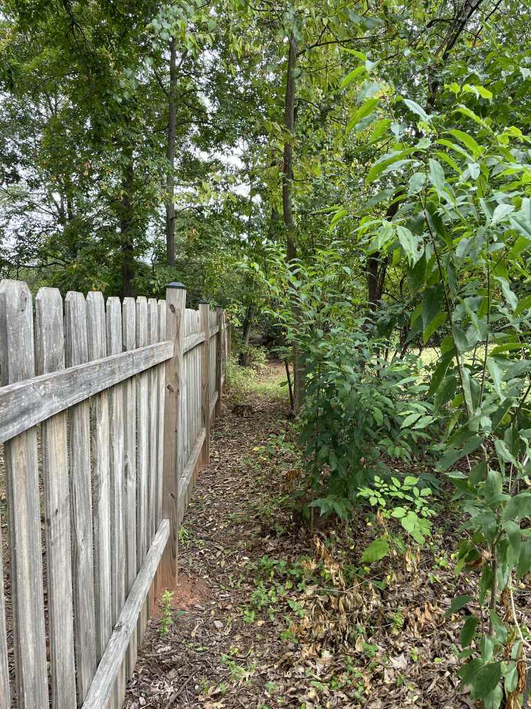 6189a9d4 202f 4658 880f 44251b4192f1