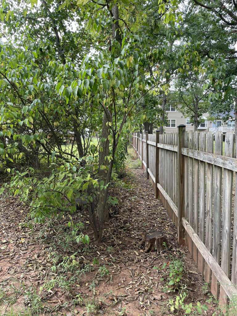 e738c335 f54b 42aa bd99 c1e8380df4be