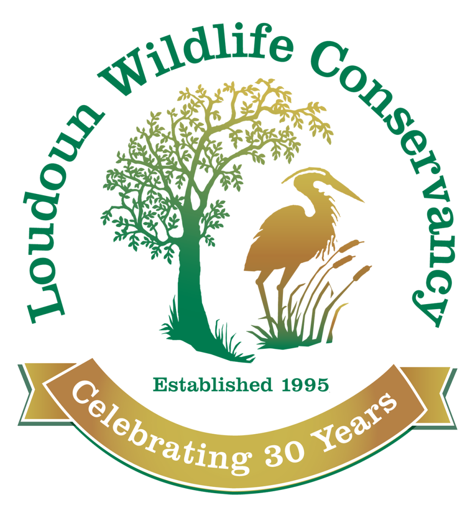 30th LWC Logo on Circle fix