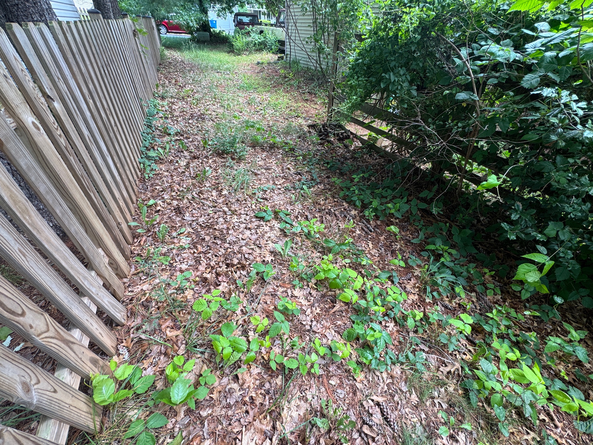 image0-1-jpeg